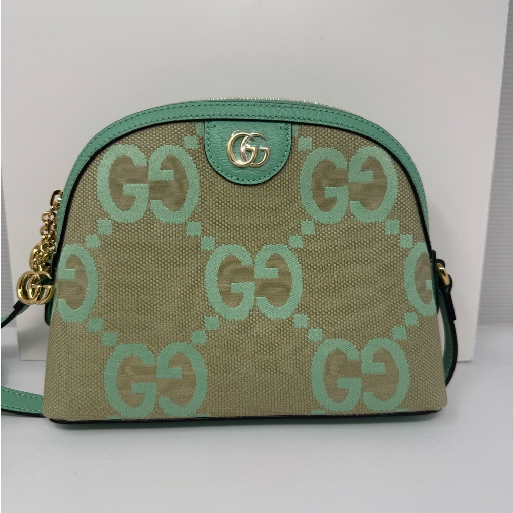 Green and Beige Designer Women's Bag